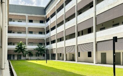 Aménagement d’une petite cour : idées pour gagner de la place