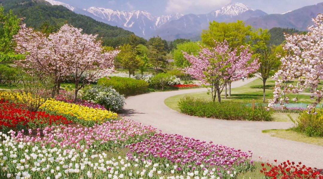 Associer plantes et matériaux pour un rendu harmonieux dans votre jardin