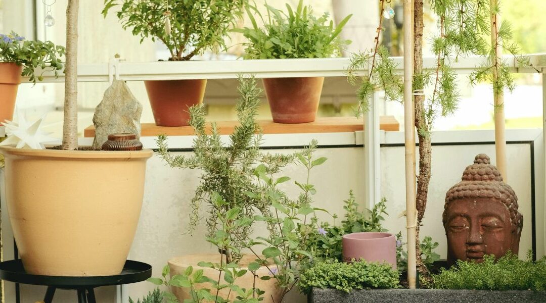 Balcon fleuri toute l’année : les plantes idéales