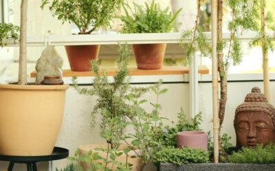 Balcon fleuri toute l’année : les plantes idéales
