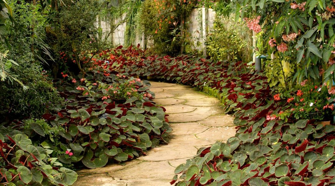 Comment créer une allée de jardin esthétique et pratique