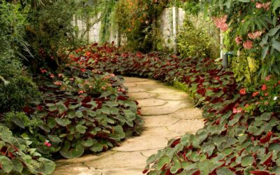 Comment créer une allée de jardin esthétique et pratique