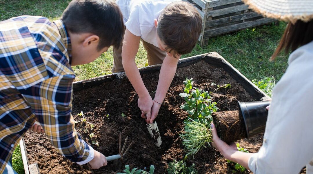 Comment réussir l’aménagement d’un petit jardin urbain (guide complet)