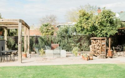 Jardiner naturellement : limiter les produits chimiques