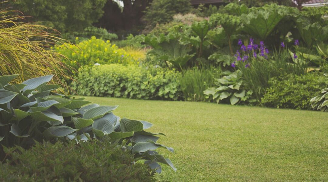 Préparer son jardin pour le printemps en 5 étapes