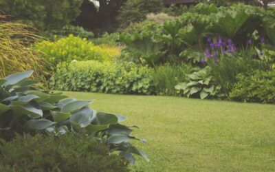 Préparer son jardin pour le printemps en 5 étapes