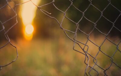 Réparer une clôture de jardin abîmée : guide pratique