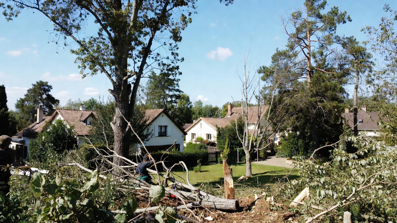 jardin-plantes-service-elagage-abattage-pres-agen Opération d’élagage et abattage d’arbres réalisée par un paysagiste près d’Agen